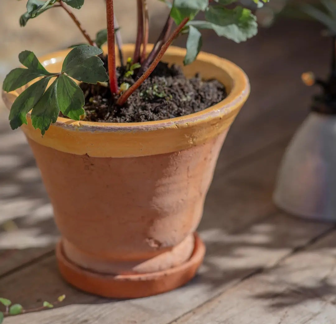 Tuscan Ceramic Planter