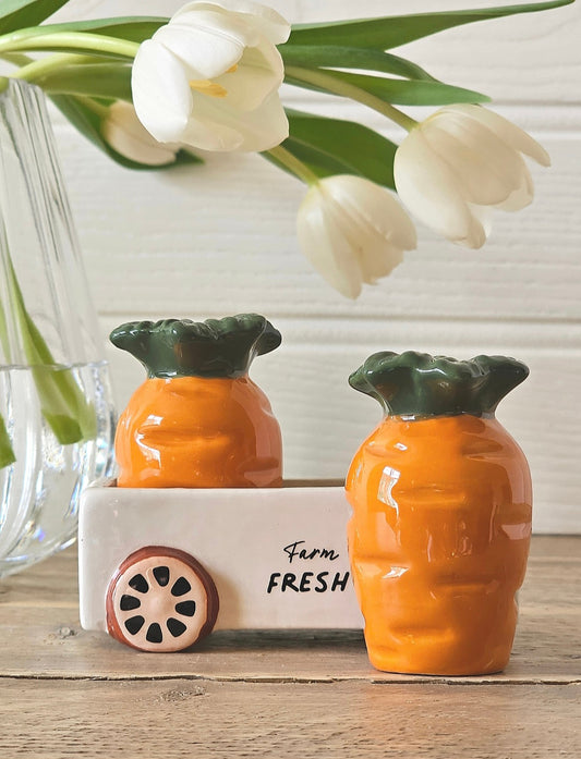 Country Cottage Carrot Salt & Pepper Shakers - IMPERFECT