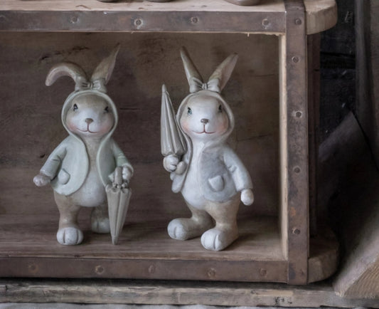 Rainy Days Bunny Set