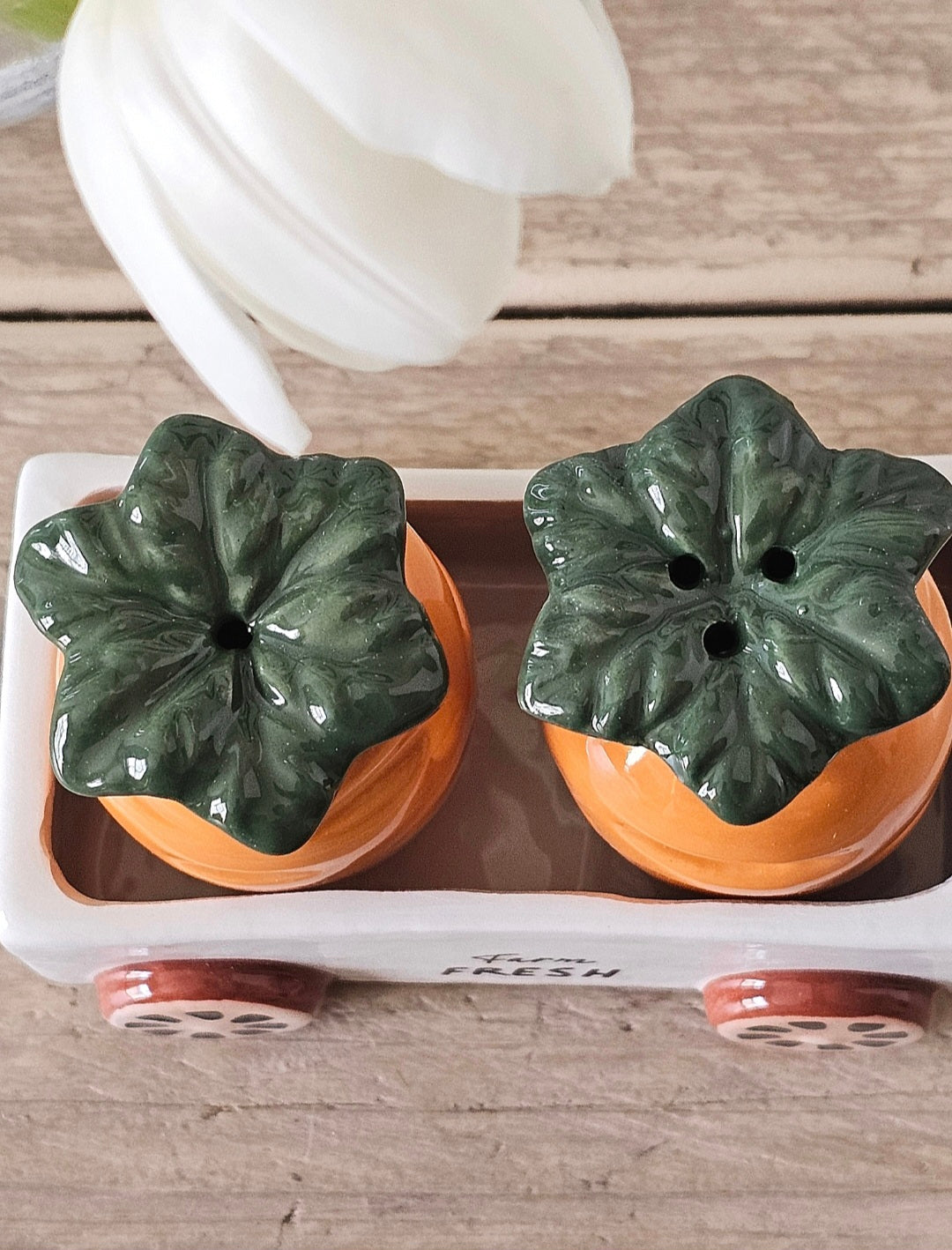 Country Cottage Carrot Salt & Pepper Shakers - IMPERFECT