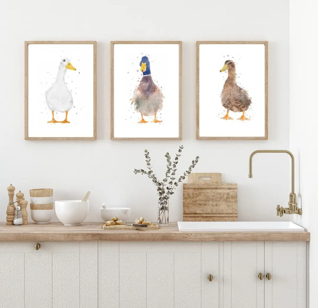 Trio of Watercolour Duck Print