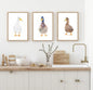 Trio of Watercolour Duck Print