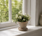 Aged Terracotta Planter | Small