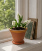 Tuscan Ceramic Planter