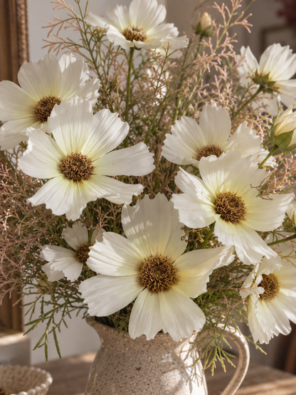 Cream Cosmos Bunch