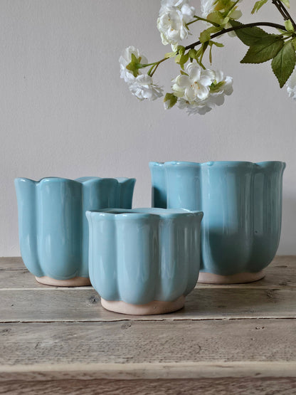 Tulip Planters | 3 Sizes