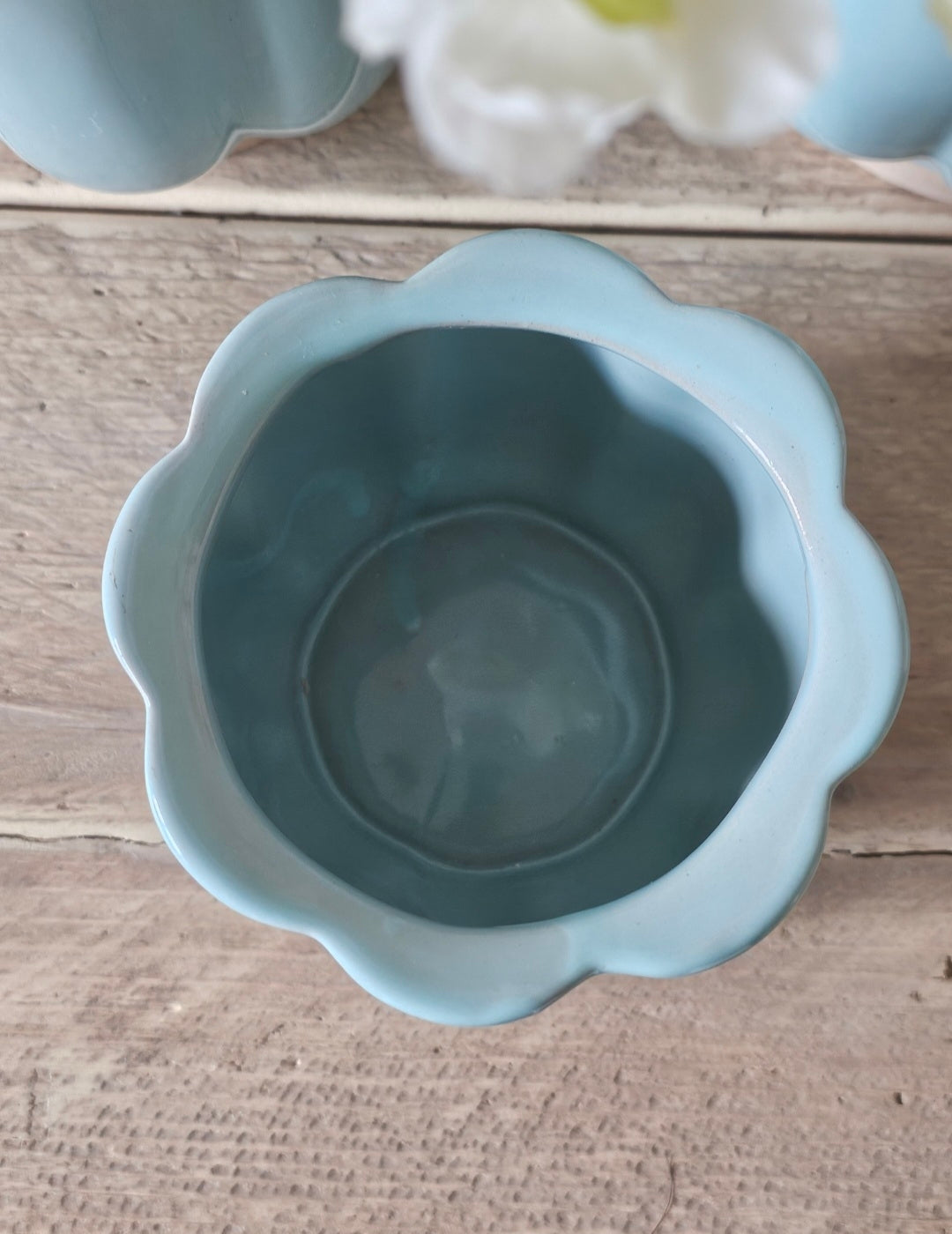 Tulip Planters | 3 Sizes