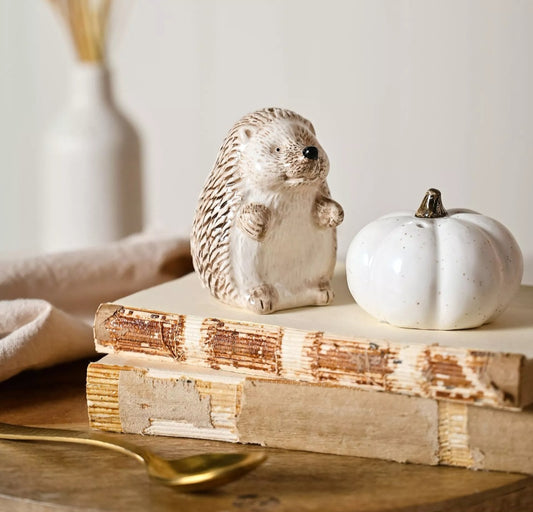 Hedgehog Salt & Pepper Set