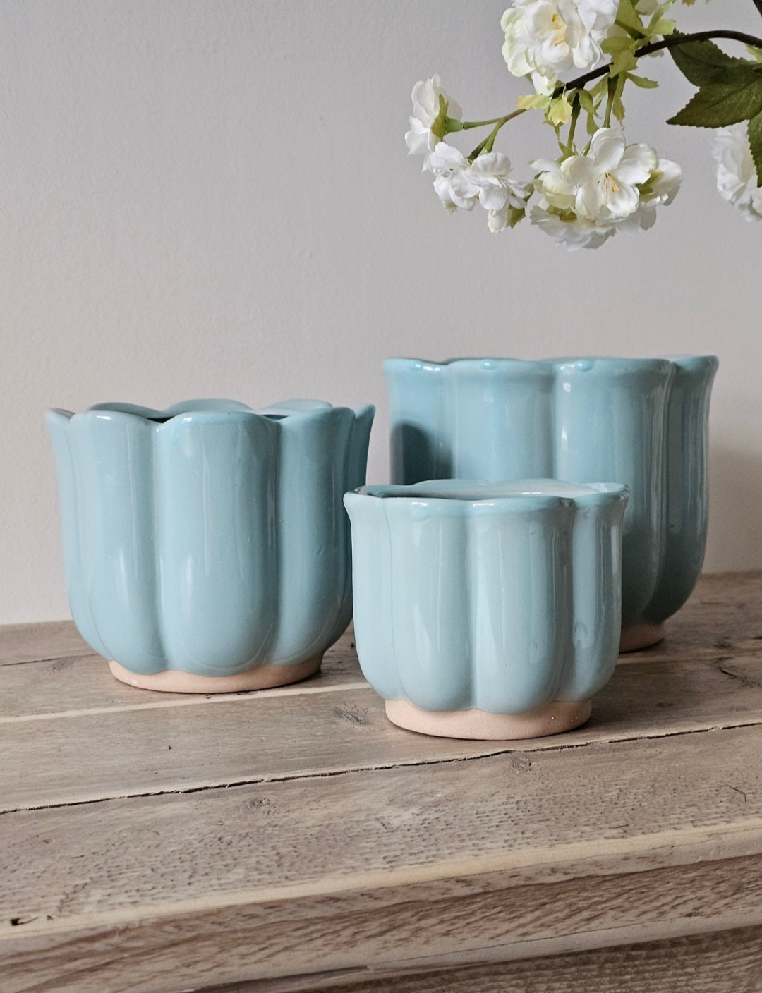 Tulip Planters | 3 Sizes