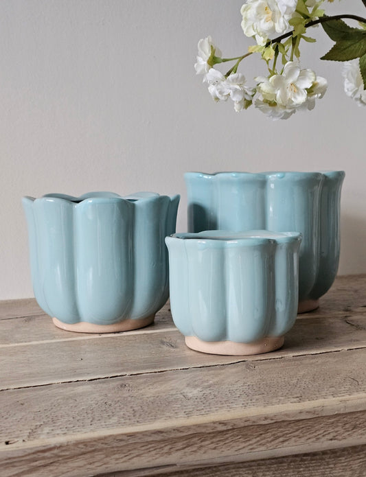 Tulip Planters | 3 Sizes